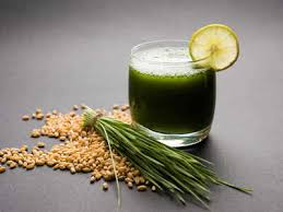 Wheatgrass Dry Extract